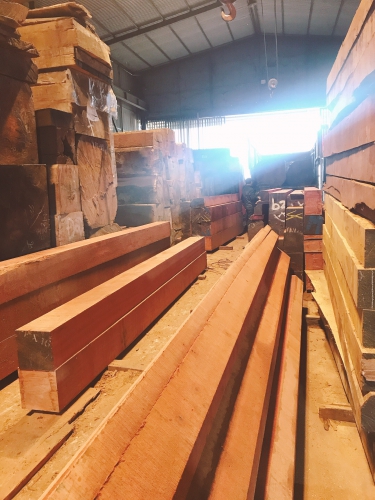 Gỗ Sến: Xẻ gỗ chuẩn bị cho công trình mới